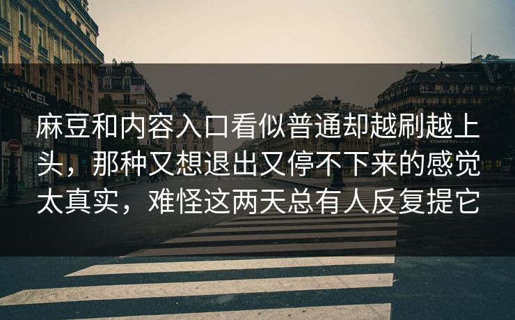 麻豆和内容入口看似普通却越刷越上头,那种又想退出又停不下来的感觉太真实,难怪这两天总有人反复提它
