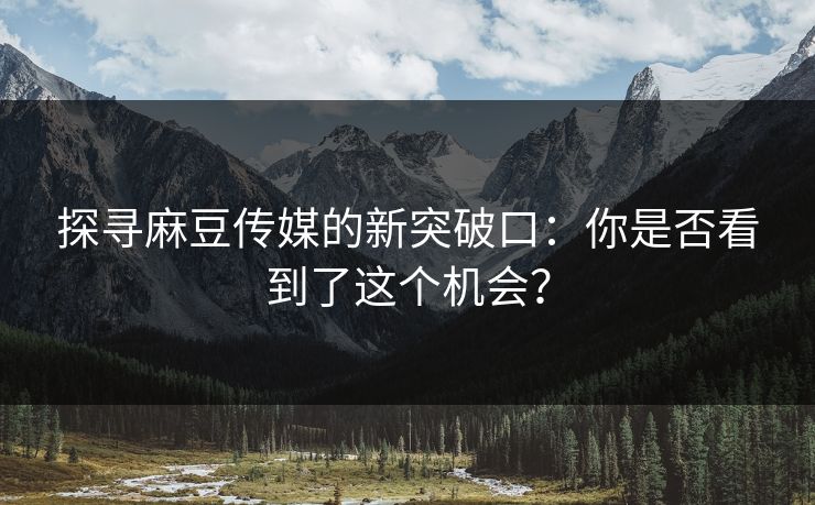 探寻麻豆传媒的新突破口:你是否看到了这个机会?
