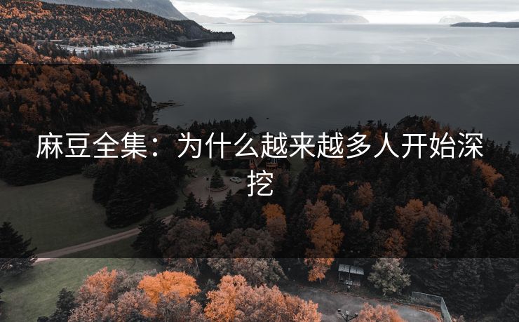 麻豆全集:为什么越来越多人开始深挖